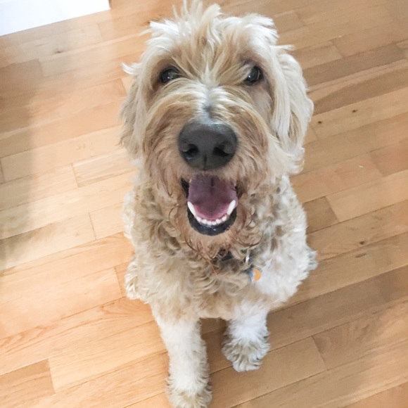 Meet your Posher, Jennifer - Picture 2 of 3